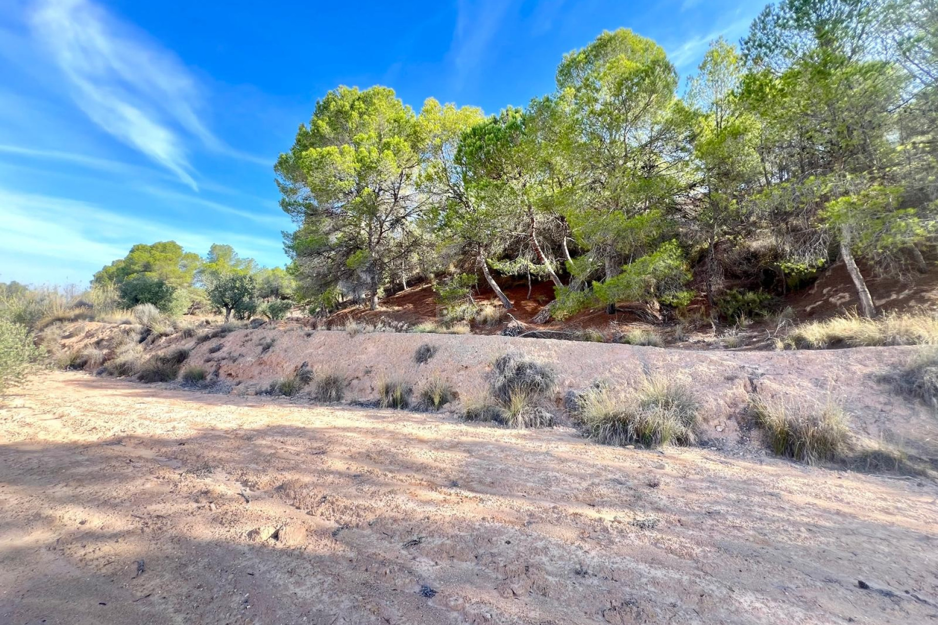 Reventa - Villa - Pinoso - Inland