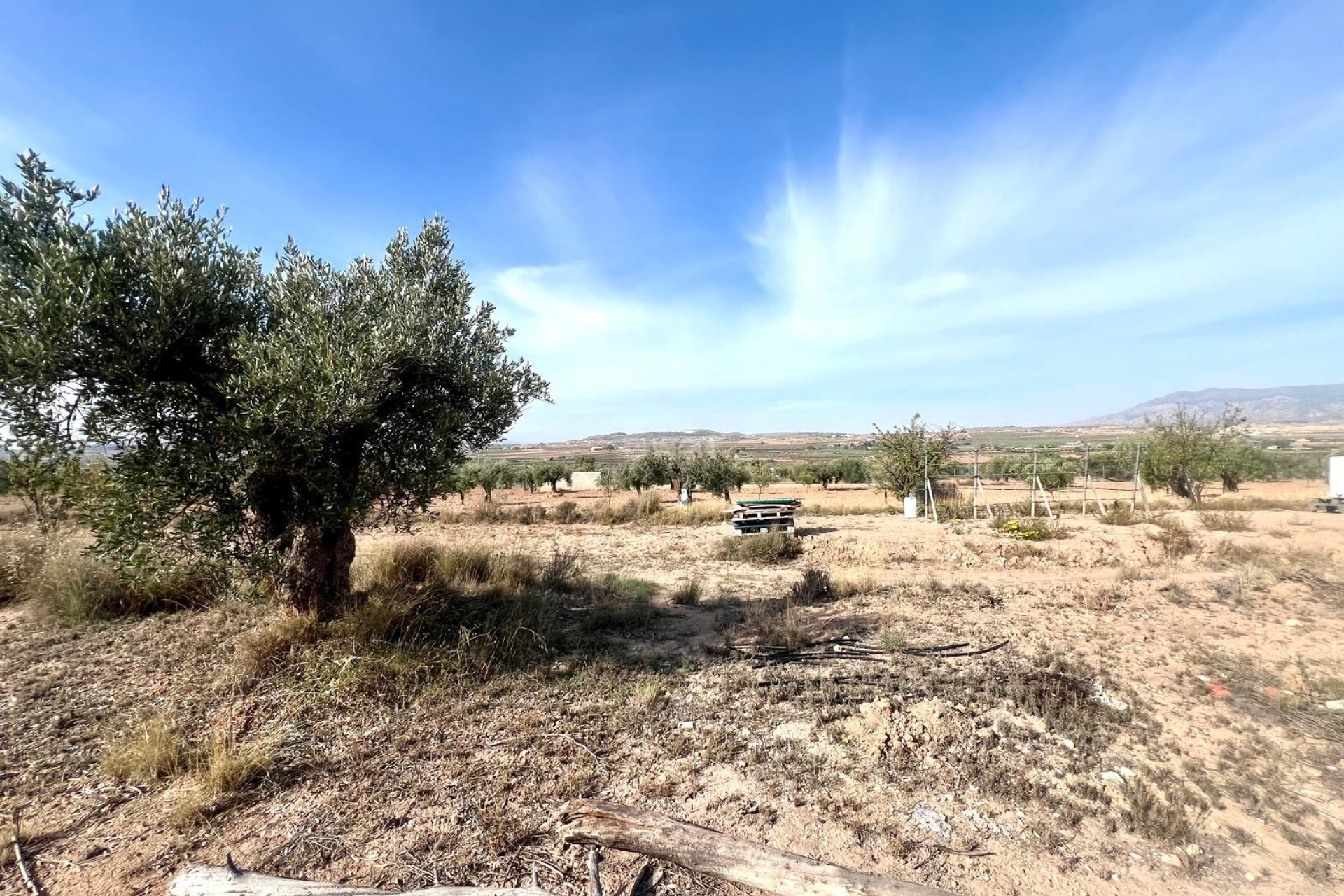 Reventa - Villa - Pinoso - Inland