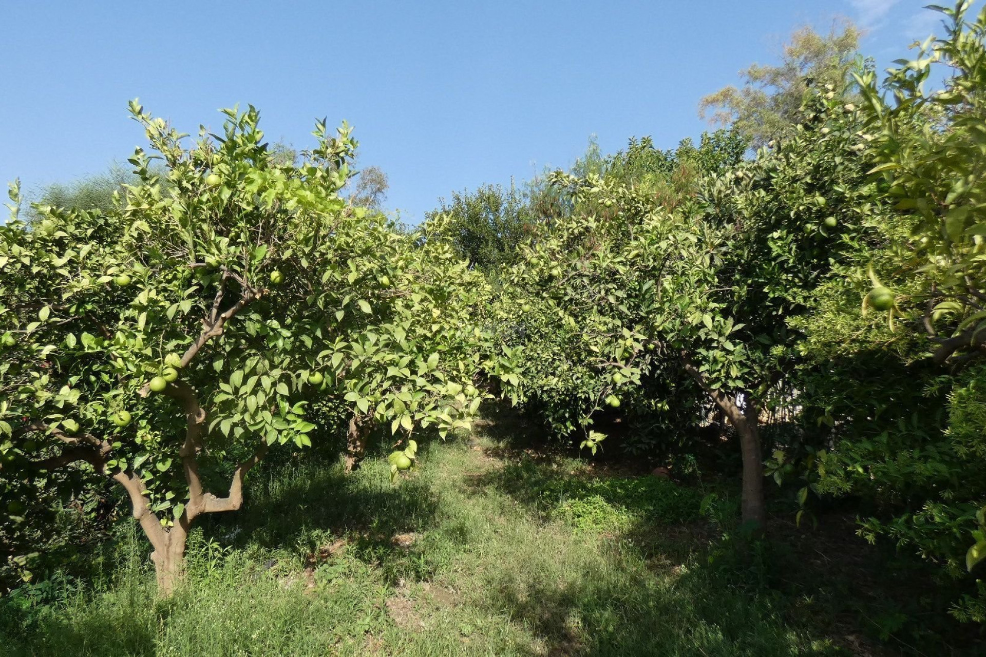 Reventa - Villa - Pizarra - Inland