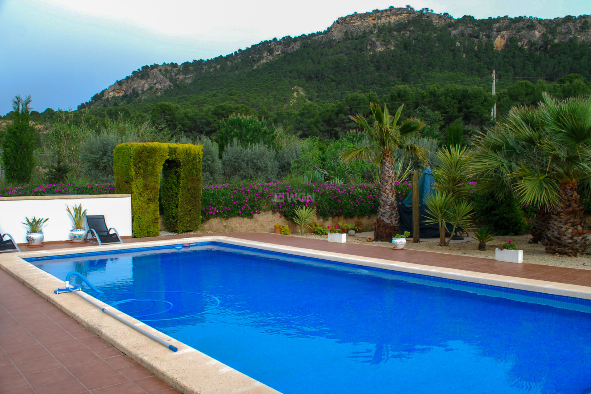 Reventa - Villa - Pliego - Inland