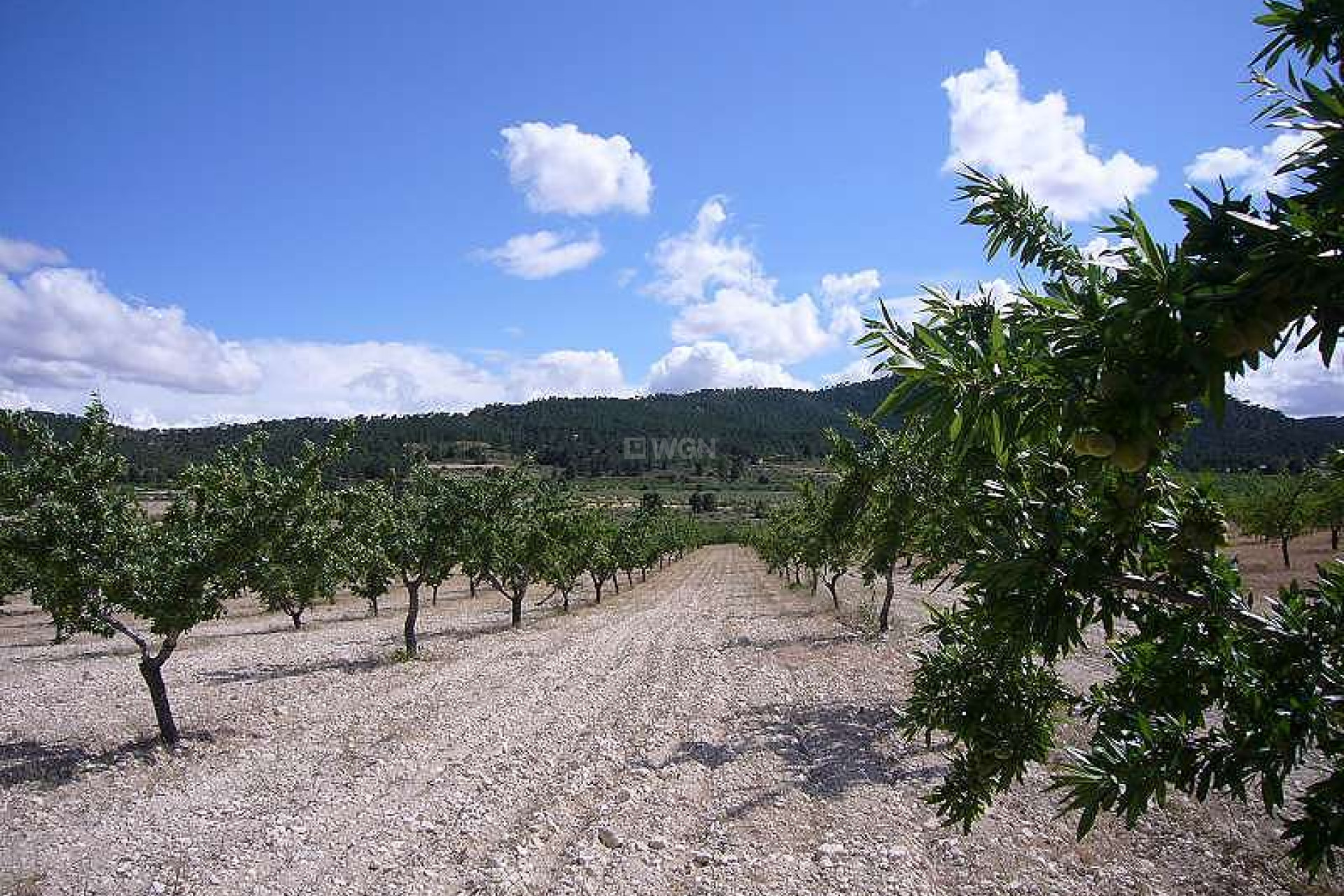 Reventa - Villa - Salinas - Inland