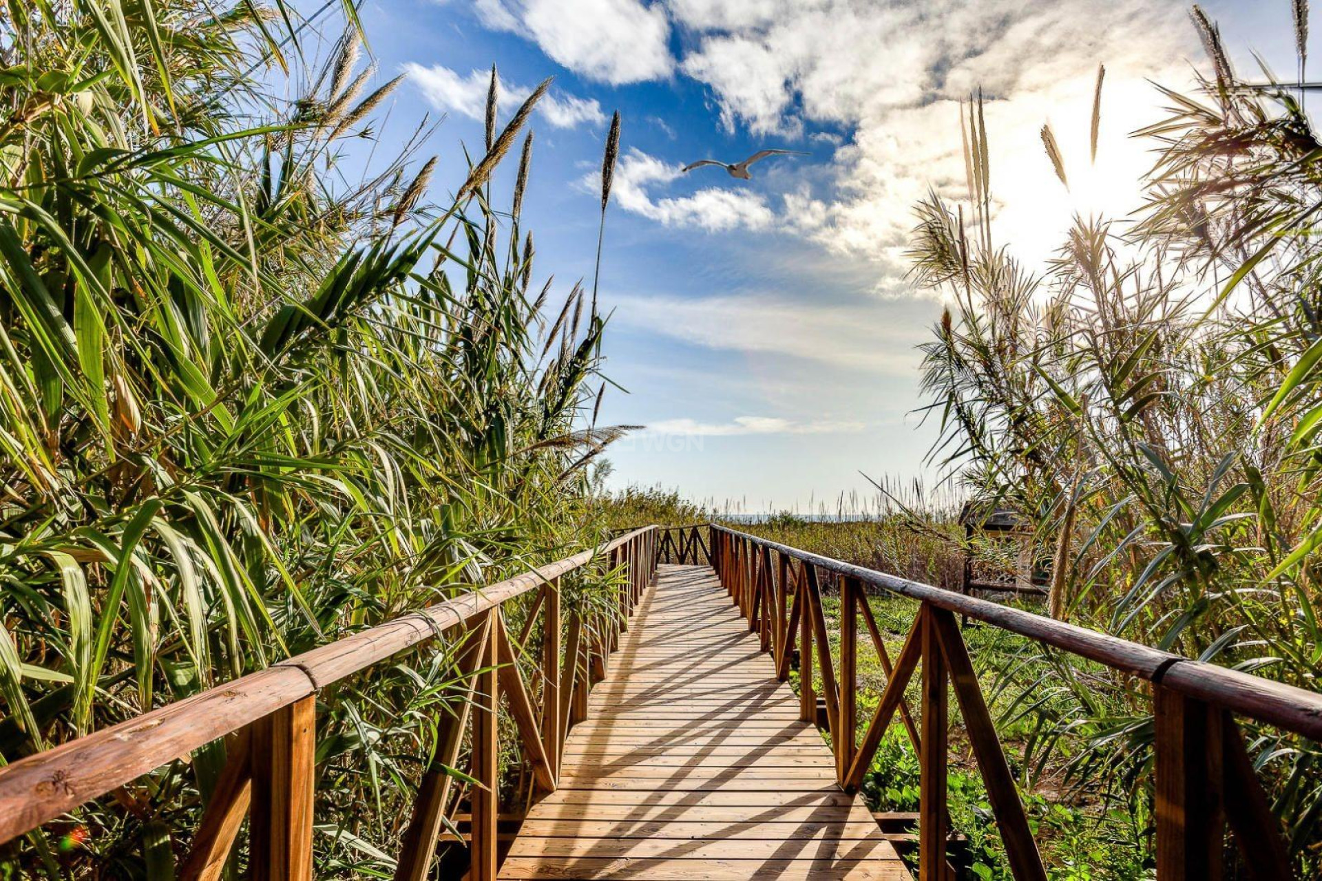 Reventa - Villa - San Fulgencio - La Marina