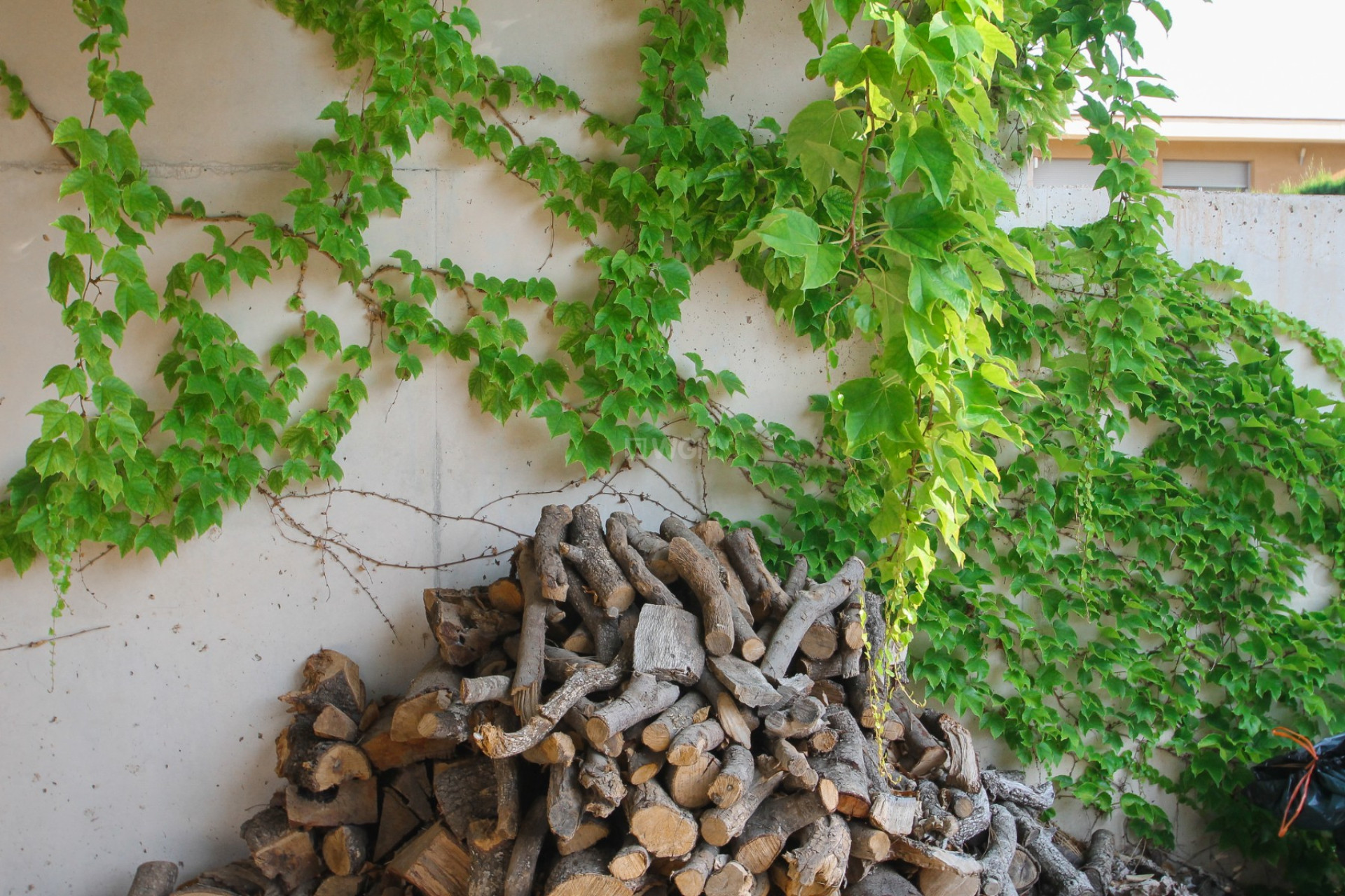 Reventa - Villa - San Vicente del Raspeig - Inland