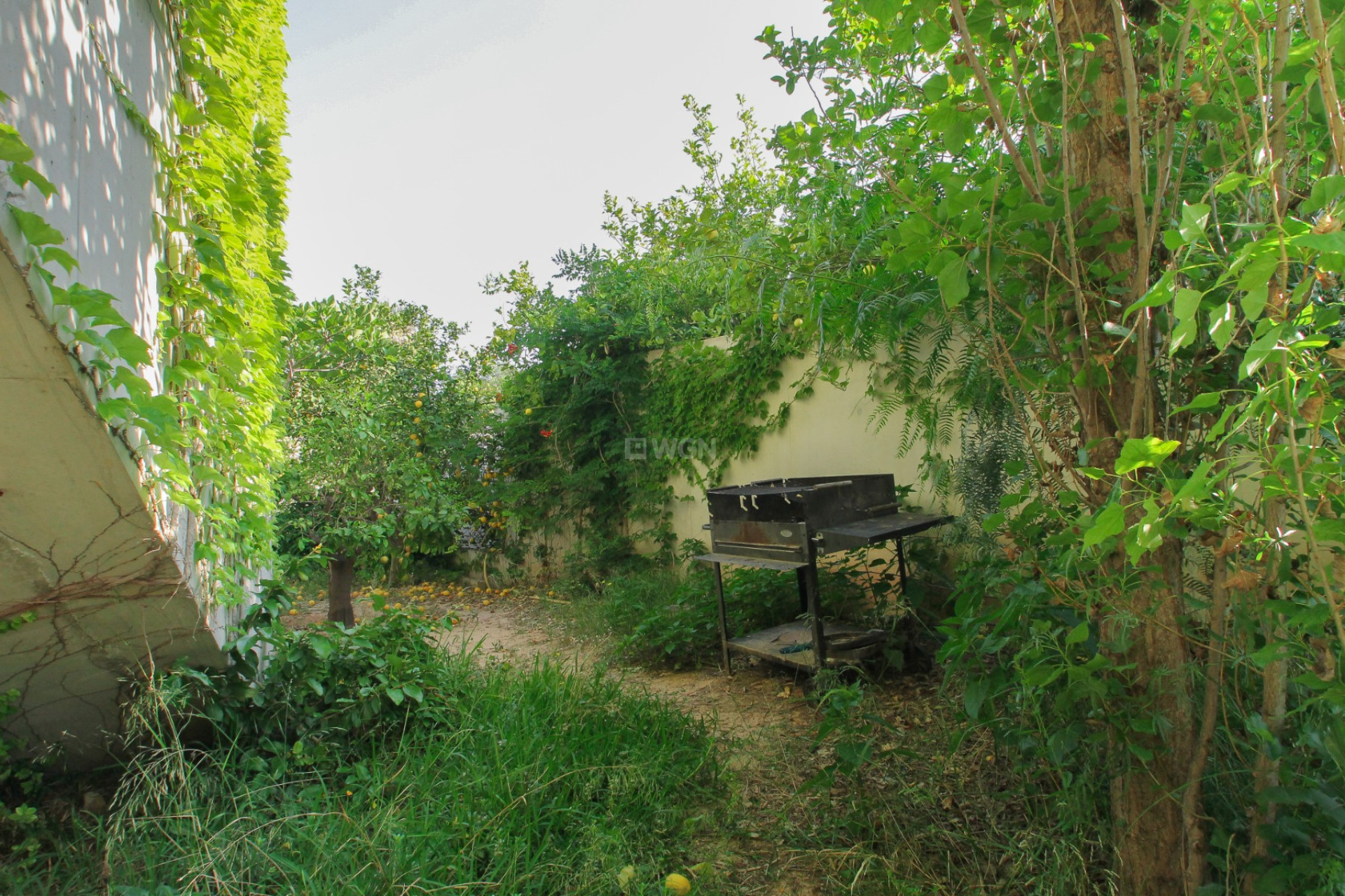 Reventa - Villa - San Vicente del Raspeig - Inland