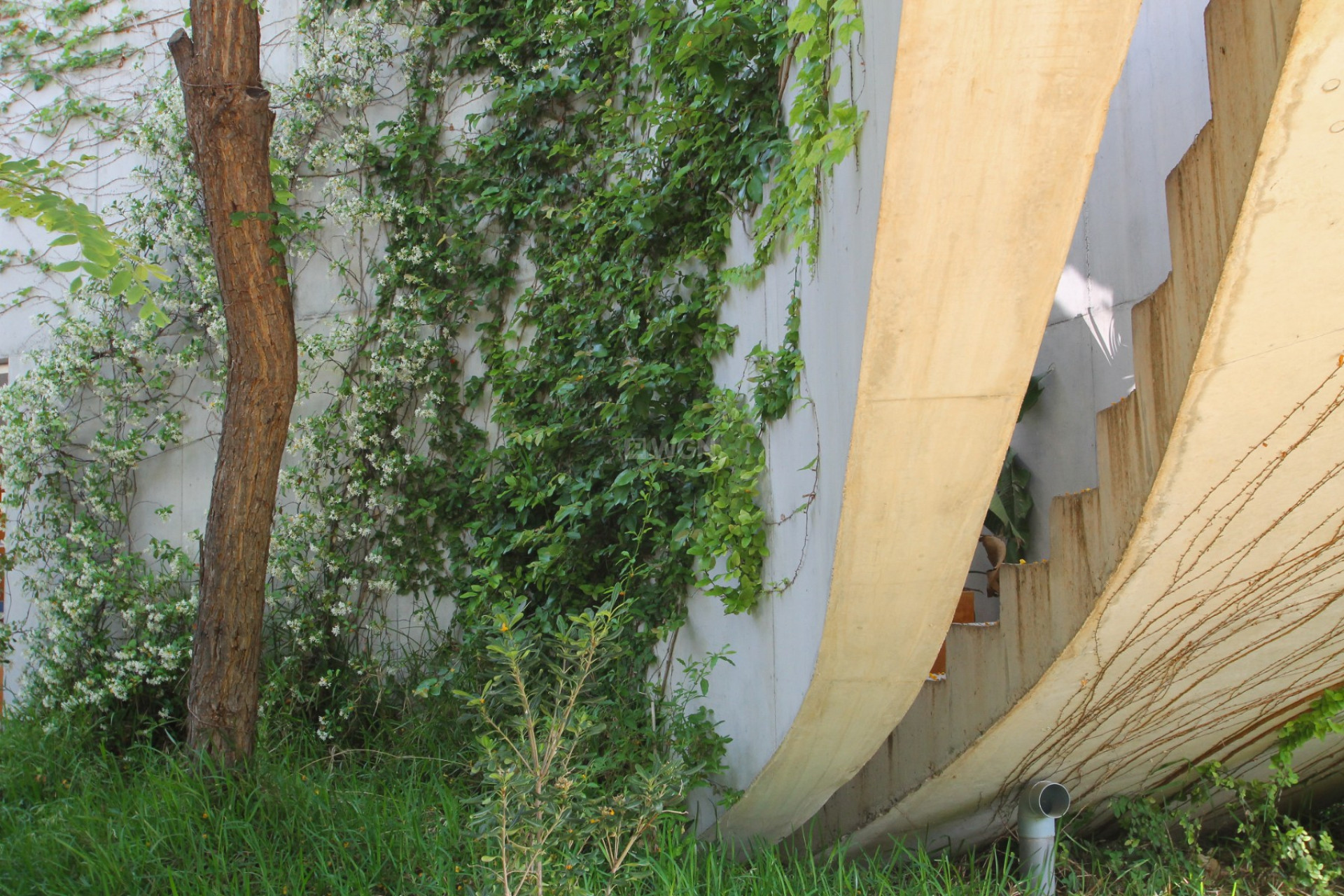 Reventa - Villa - San Vicente del Raspeig - Inland