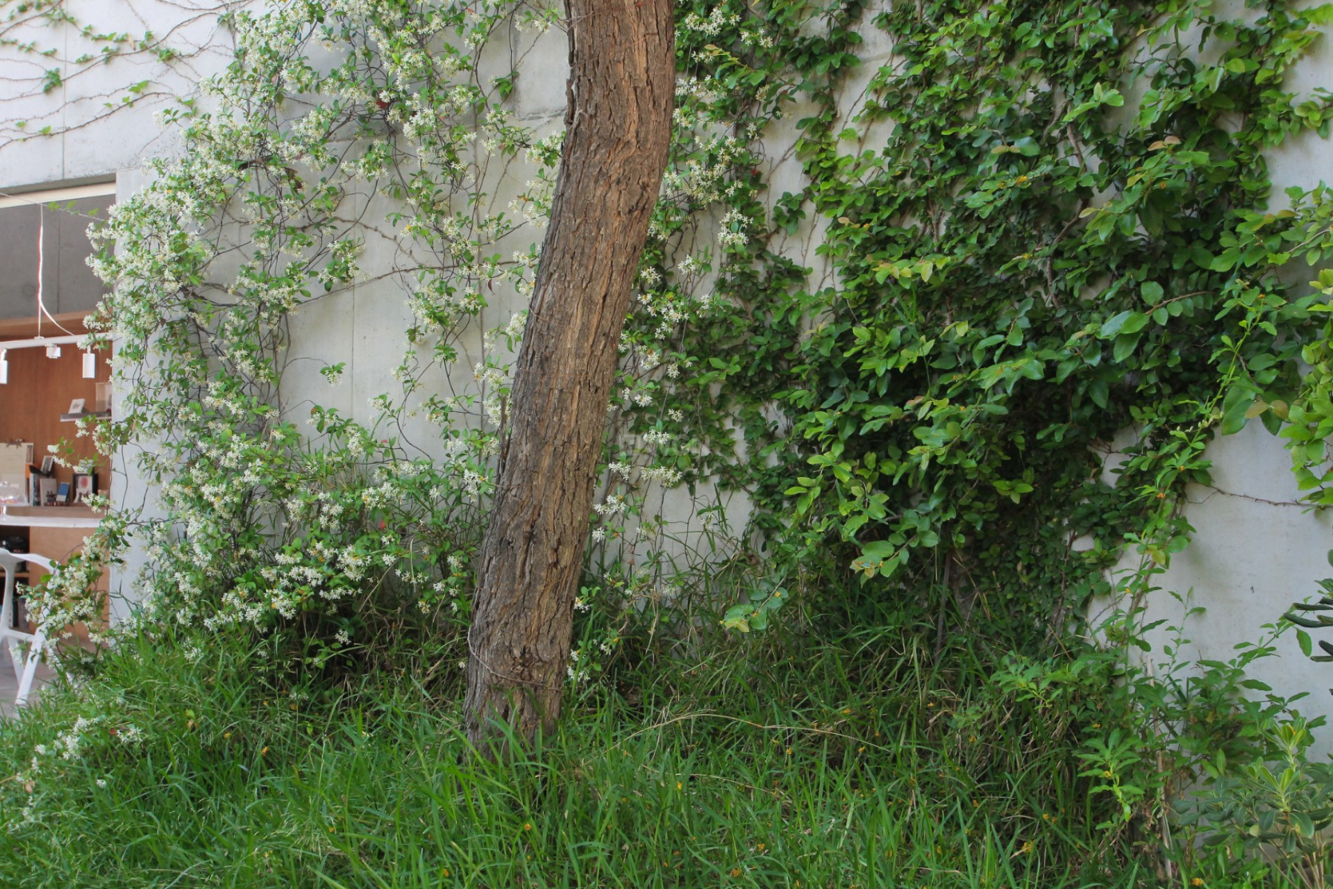 Reventa - Villa - San Vicente del Raspeig - Inland