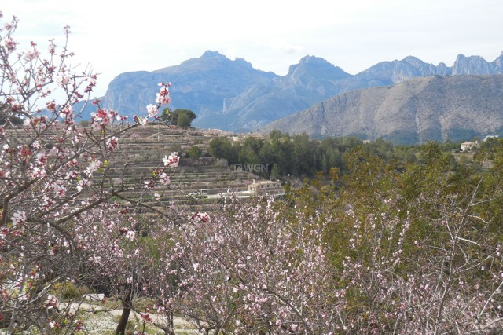 Reventa - Villa - Tárbena - Inland