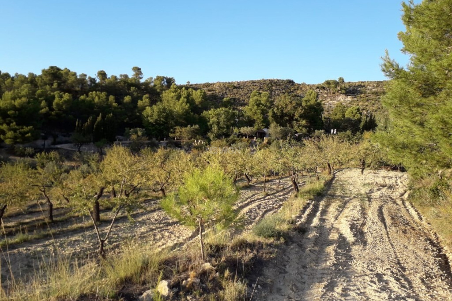 Reventa - Villa - Torremanzanas - Costa Blanca