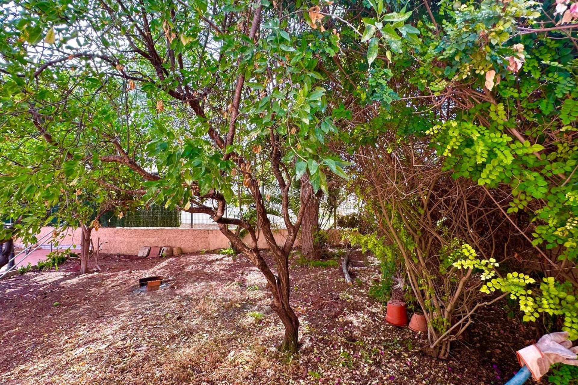 Reventa - Villa - Torrevieja - Los Balcones - Los Altos del Edén