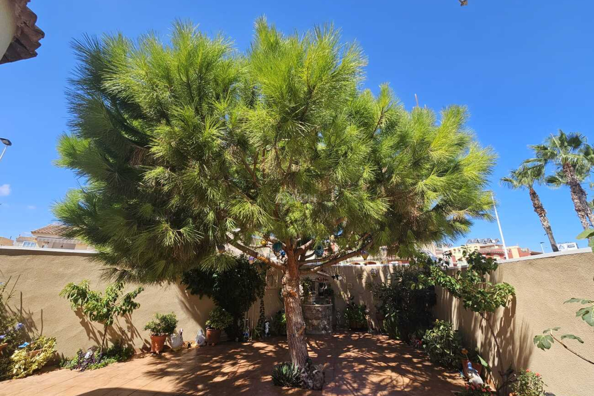 Reventa - Villa - Torrevieja - Torre Del Moro