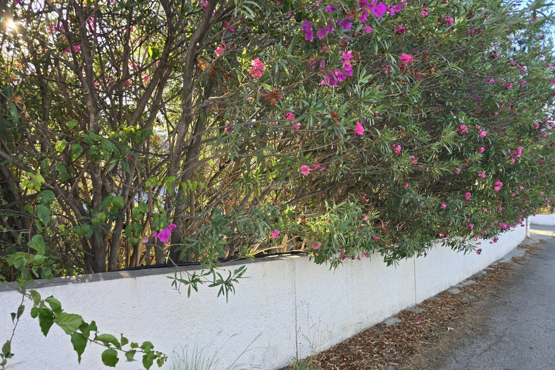 Reventa - Villa - Vinuela - Inland