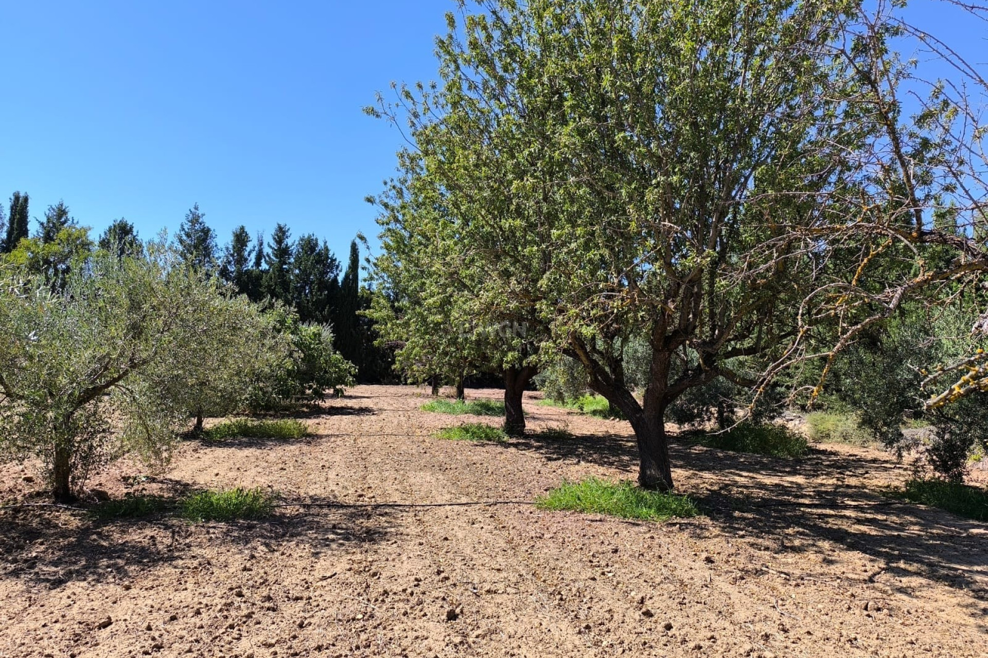 Reventa - Villa - Yecla - Inland
