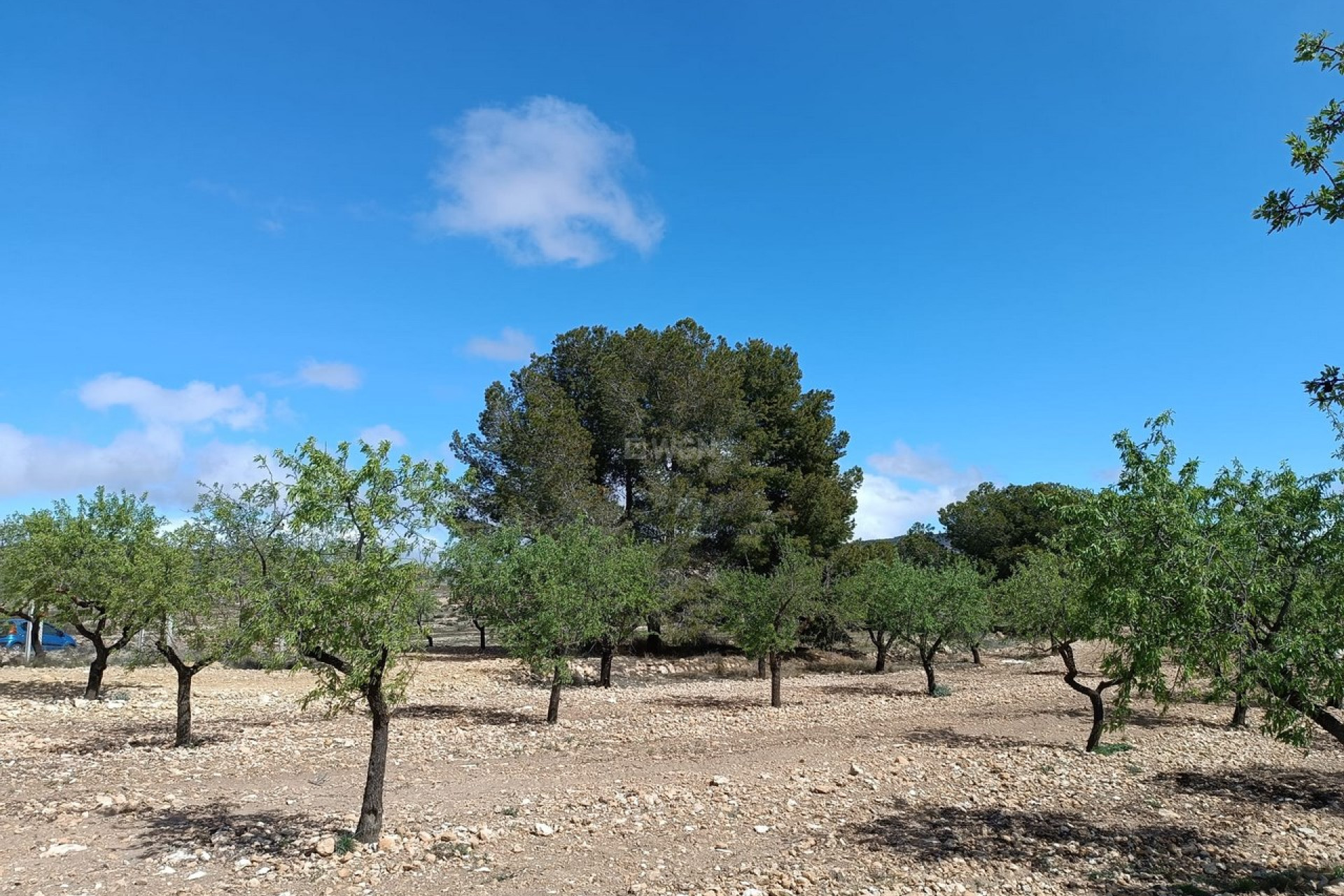 Reventa - Villa - Yecla - Inland