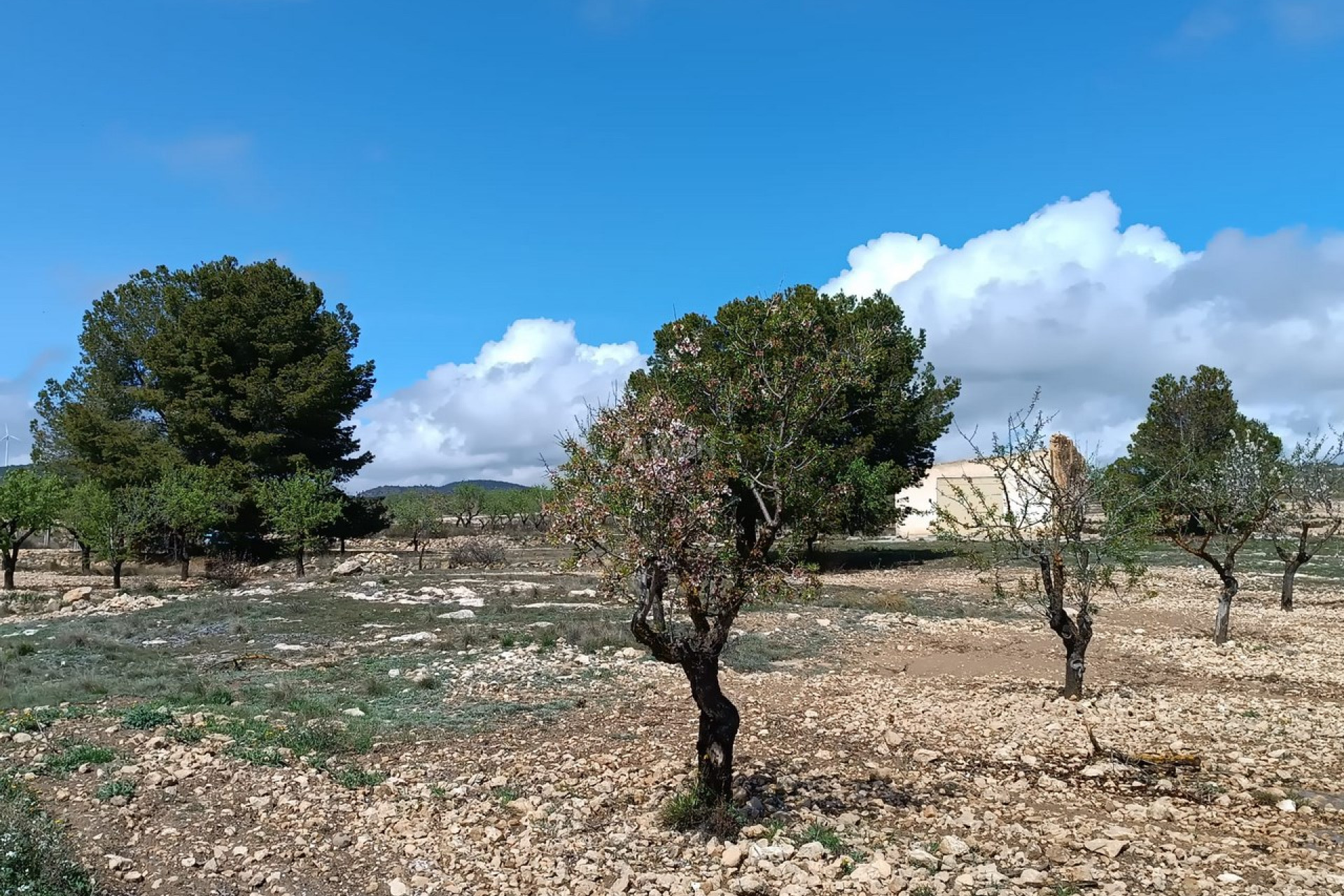 Reventa - Villa - Yecla - Inland