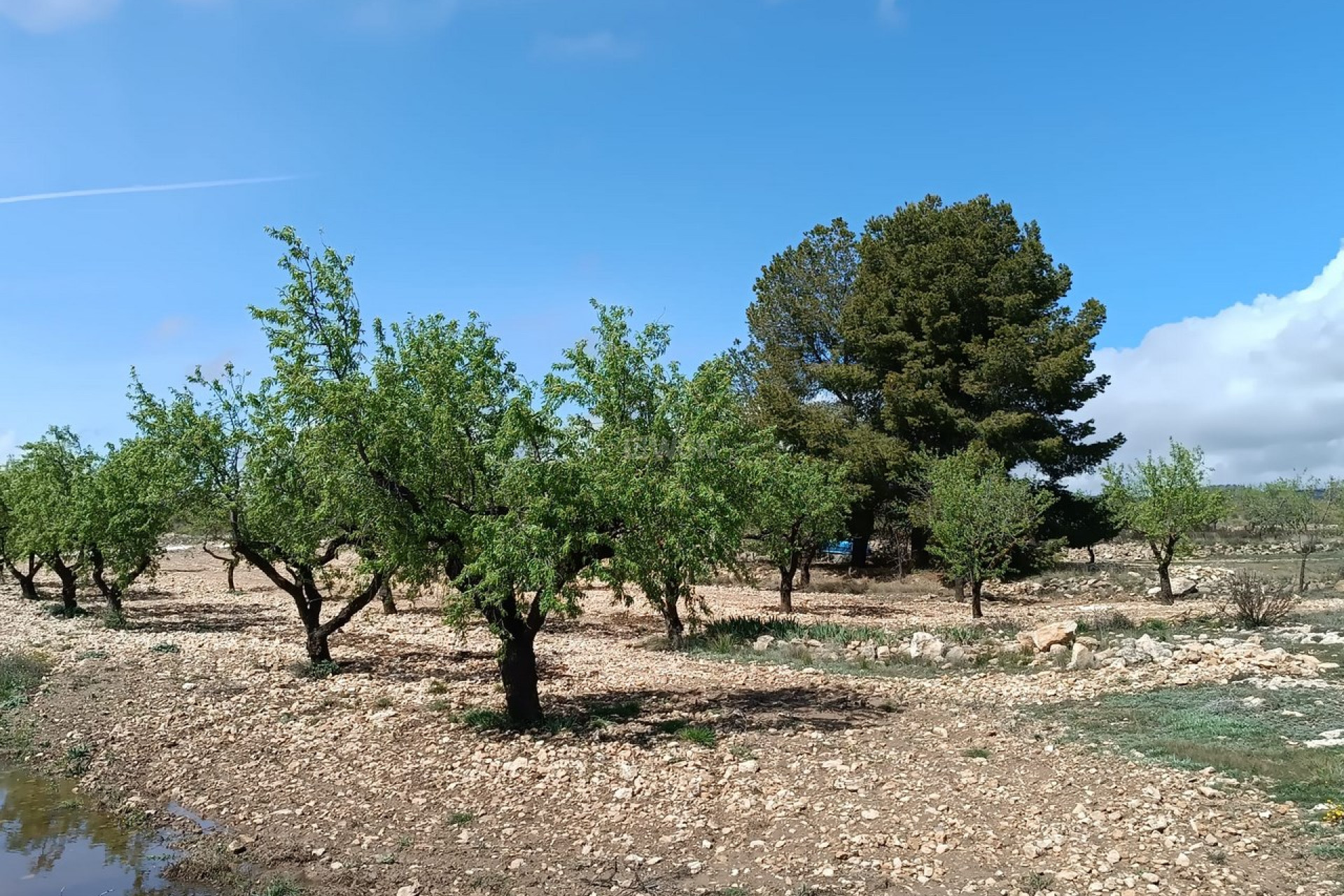 Reventa - Villa - Yecla - Inland