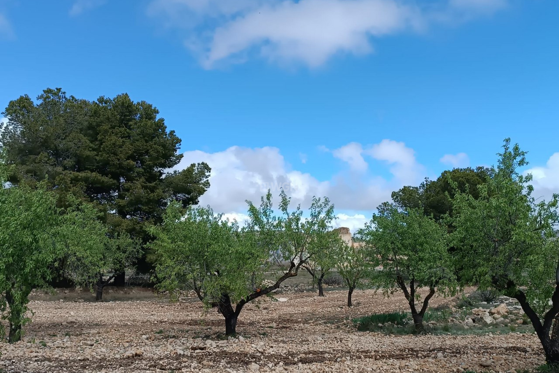 Reventa - Villa - Yecla - Inland