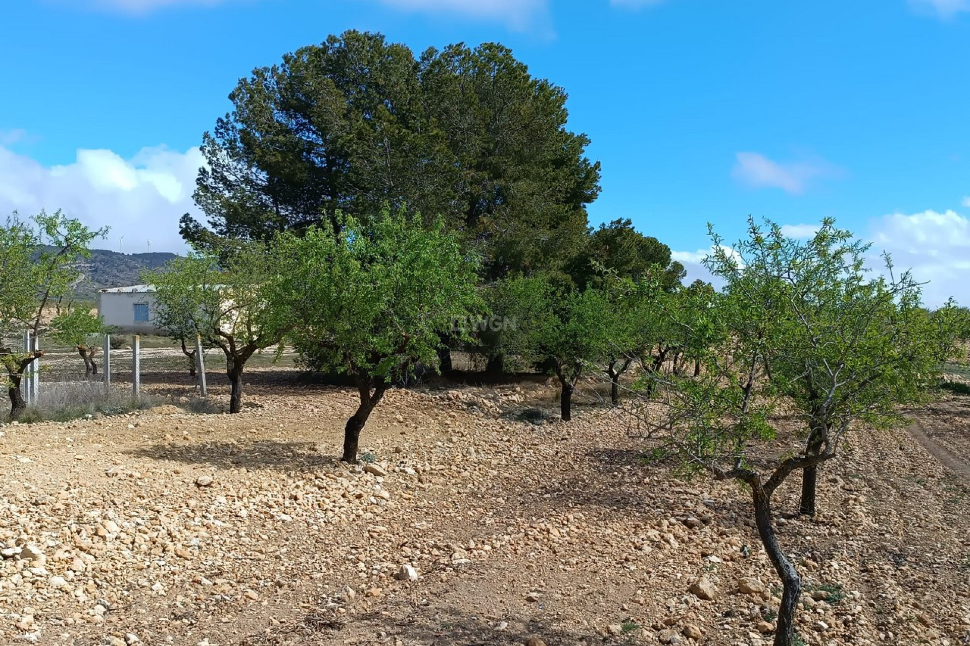 Reventa - Villa - Yecla - Inland