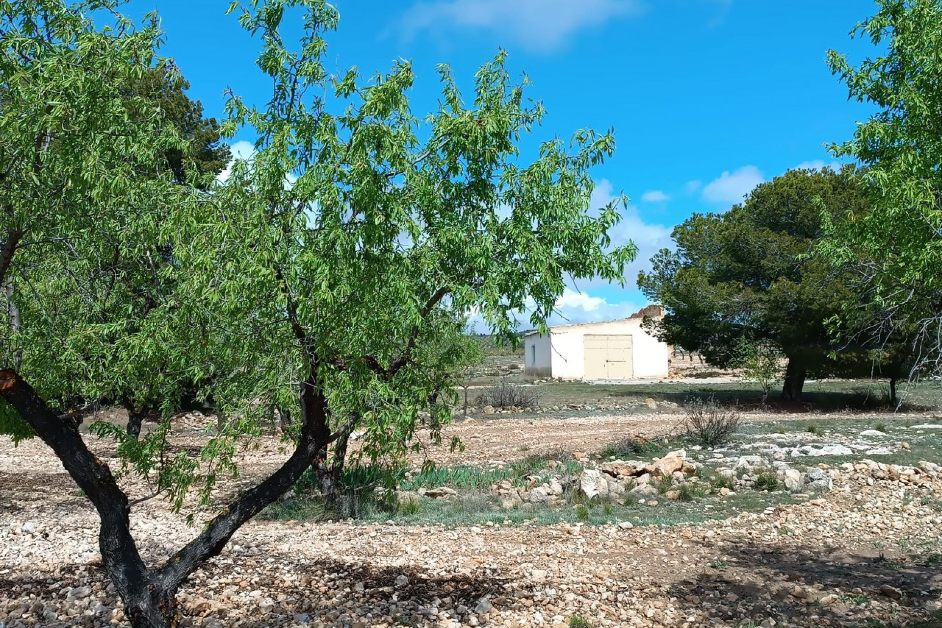 Reventa - Villa - Yecla - Inland