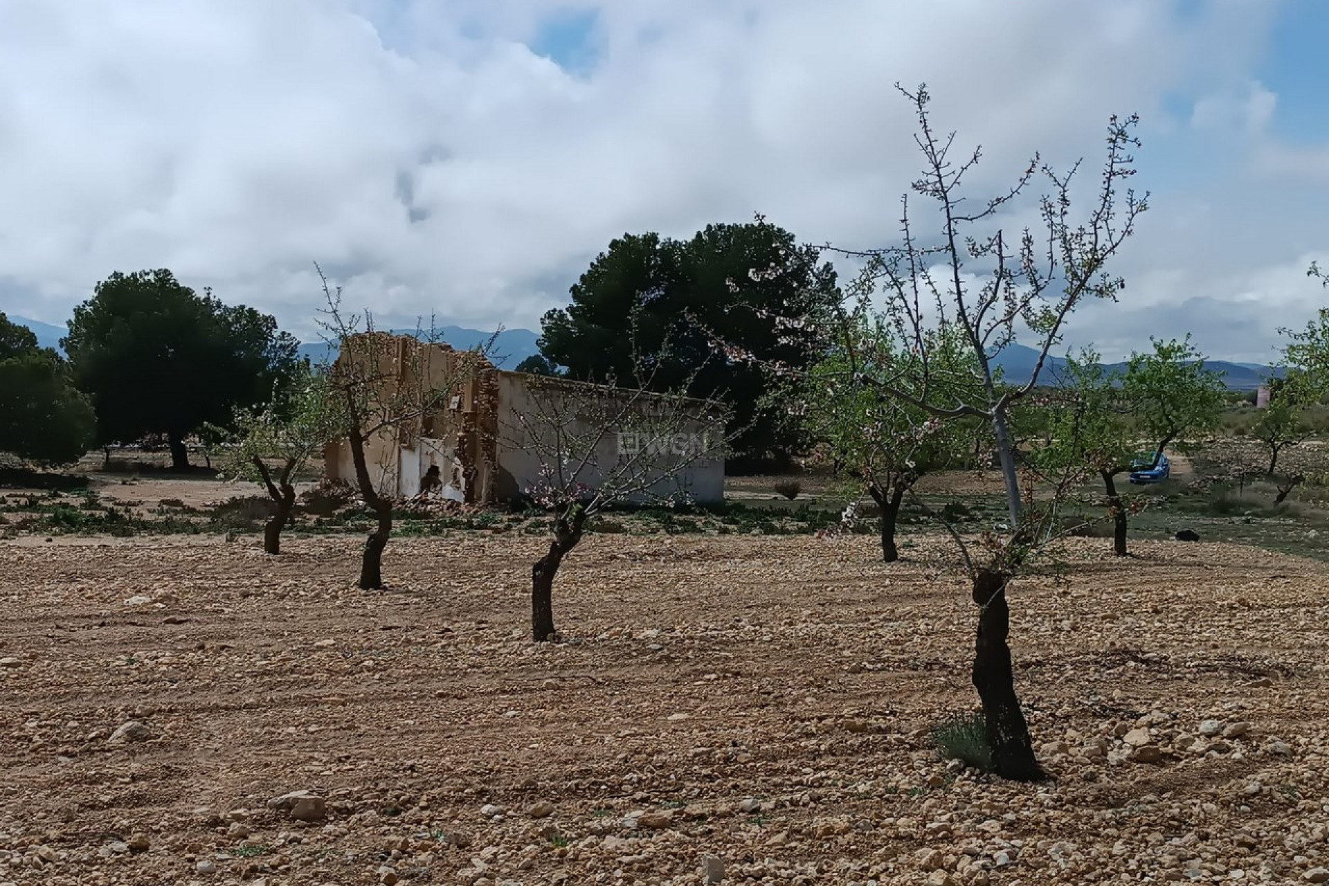 Reventa - Villa - Yecla - Inland