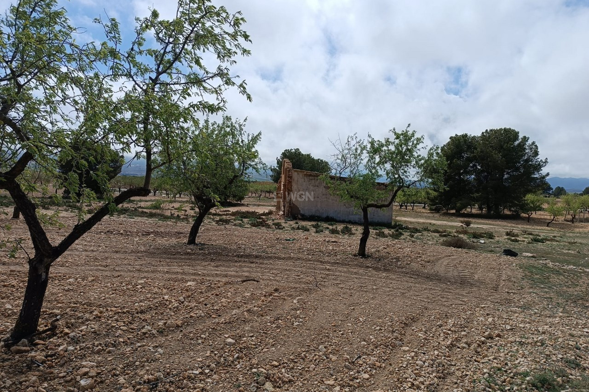 Reventa - Villa - Yecla - Inland