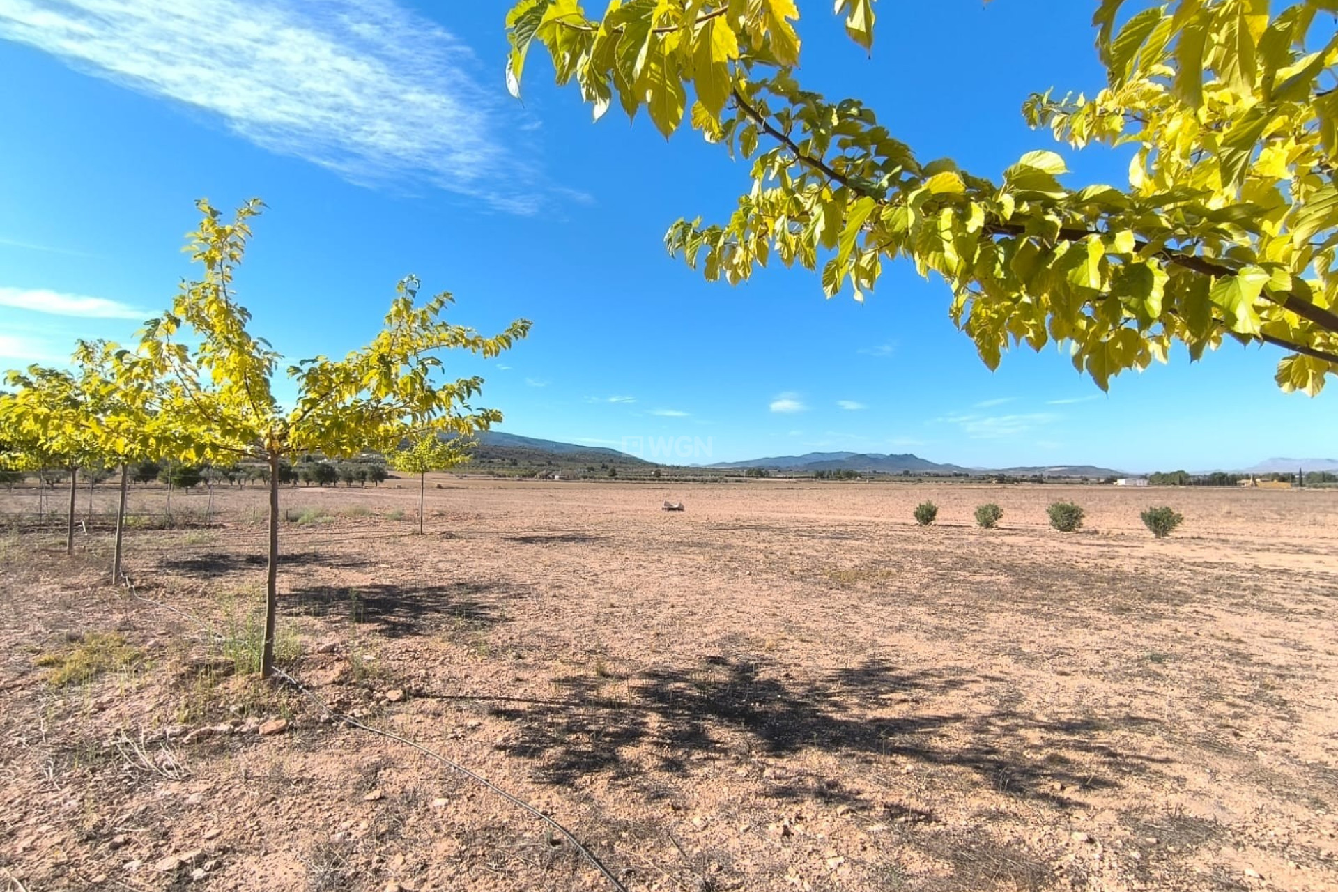 Reventa - Villa - Yecla - Inland