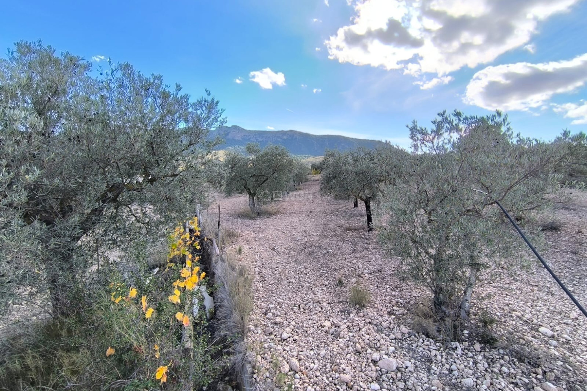 Reventa - Villa - Yecla - Inland