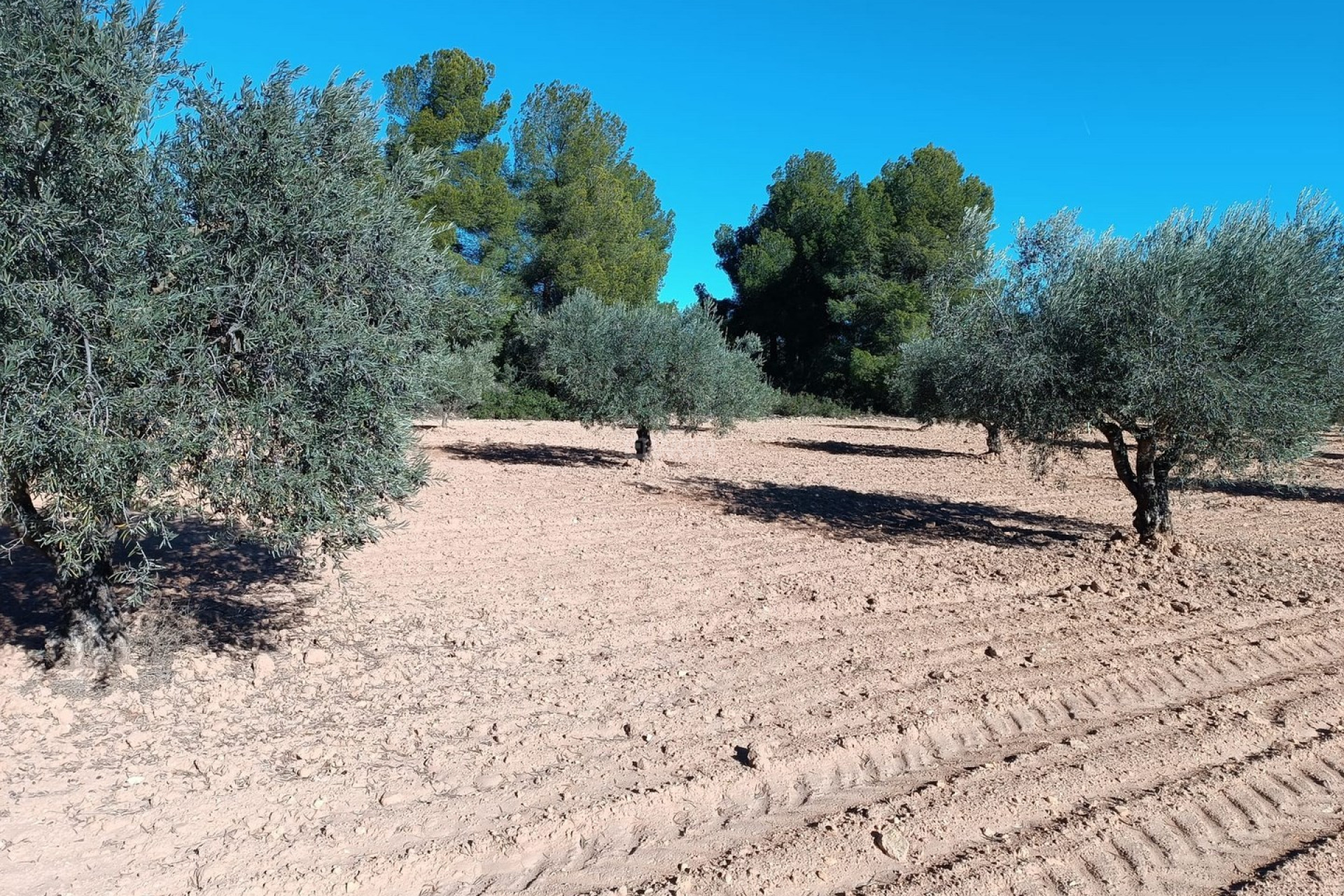 Reventa - Villa - Yecla - Inland