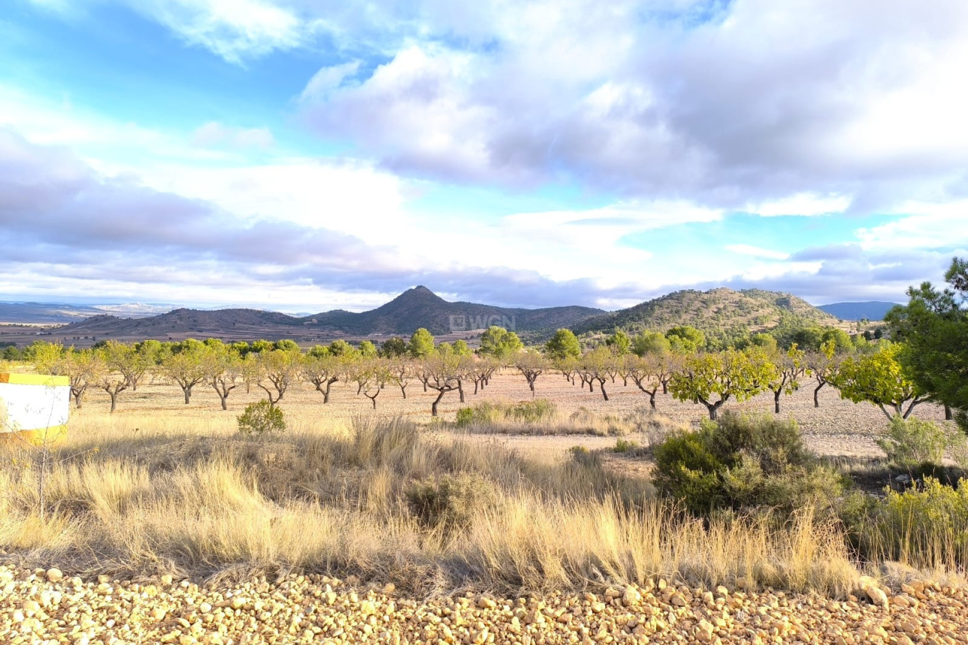 Reventa - Villa - Yecla - Inland