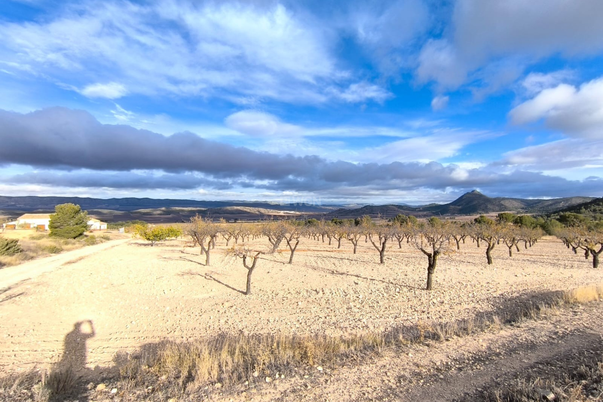 Reventa - Villa - Yecla - Inland