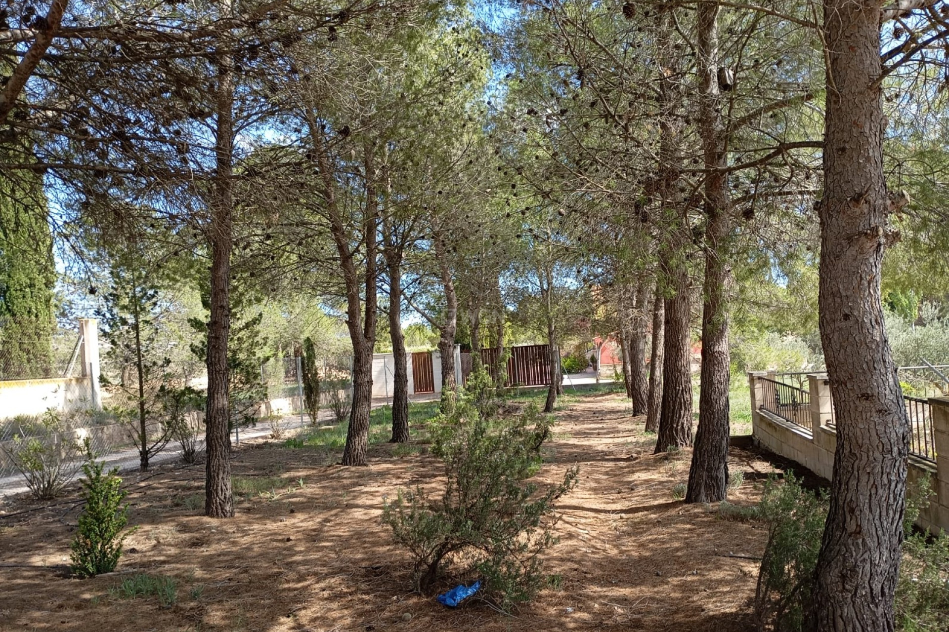 Reventa - Villa - Yecla - Inland