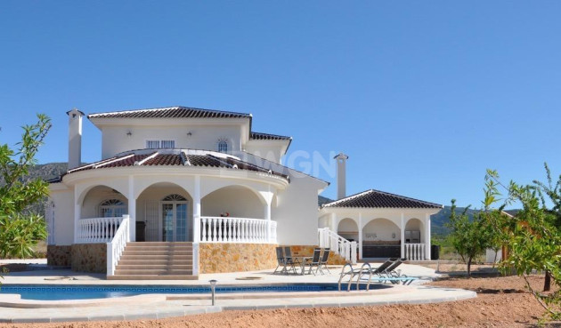 Villa - New Build - Pinoso - Lel