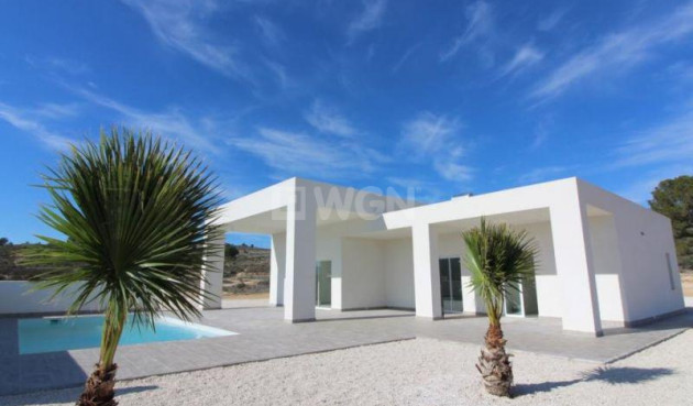 Villa - New Build - Pinoso - NB-48680