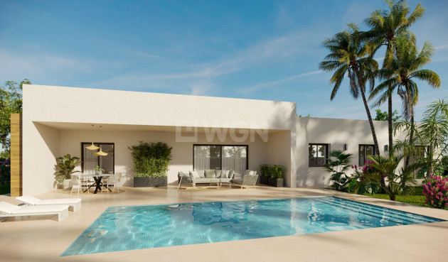 Villa - Obra nueva - Aspe - NB-13871