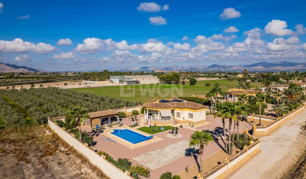 Villa - Odsprzedaż - Catral - Costa Blanca