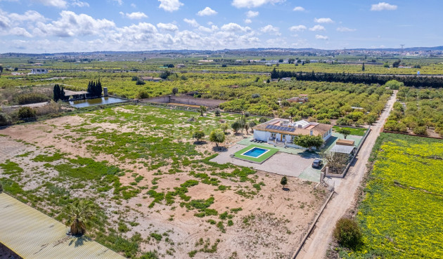 Villa - Resale - Los Montesinos - 34472