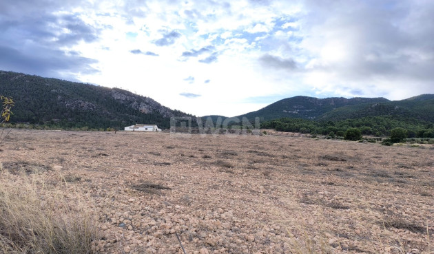 Villa - Resale - Yecla - Inland