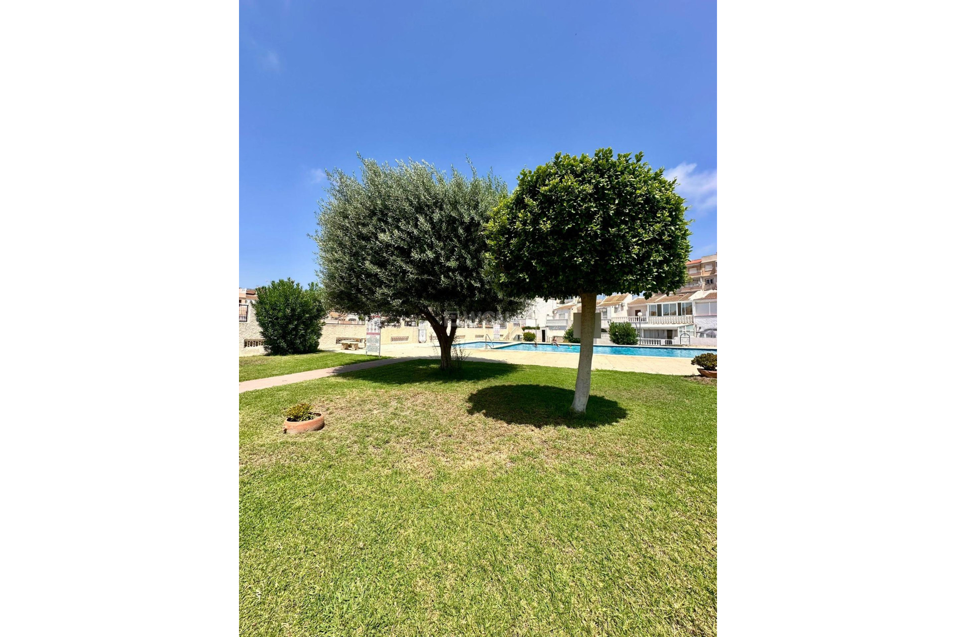 Wiederverkauf - Bungalow - Torrevieja - aguas nuevas