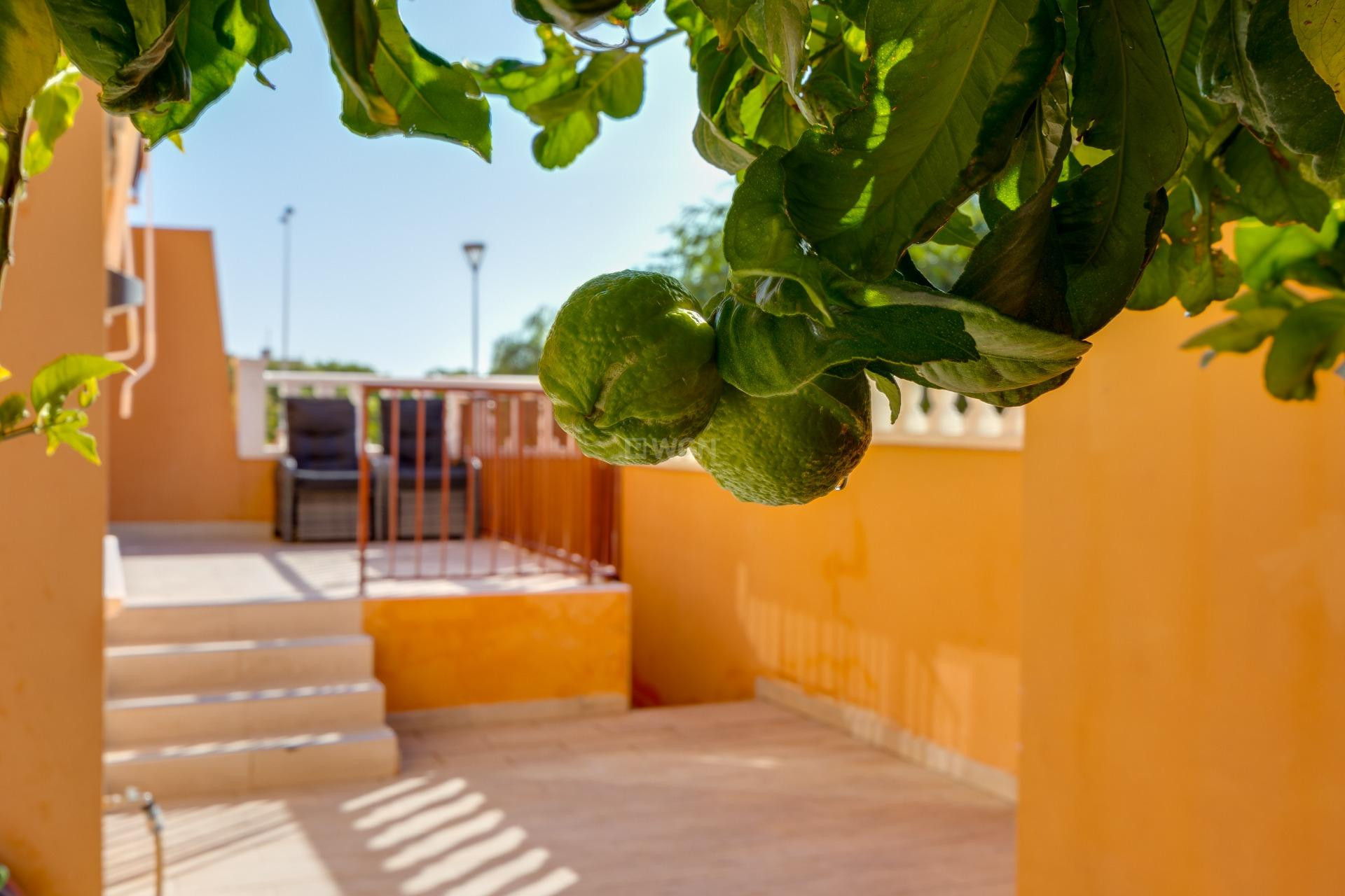 Wiederverkauf - Bungalow - Torrevieja - aguas nuevas