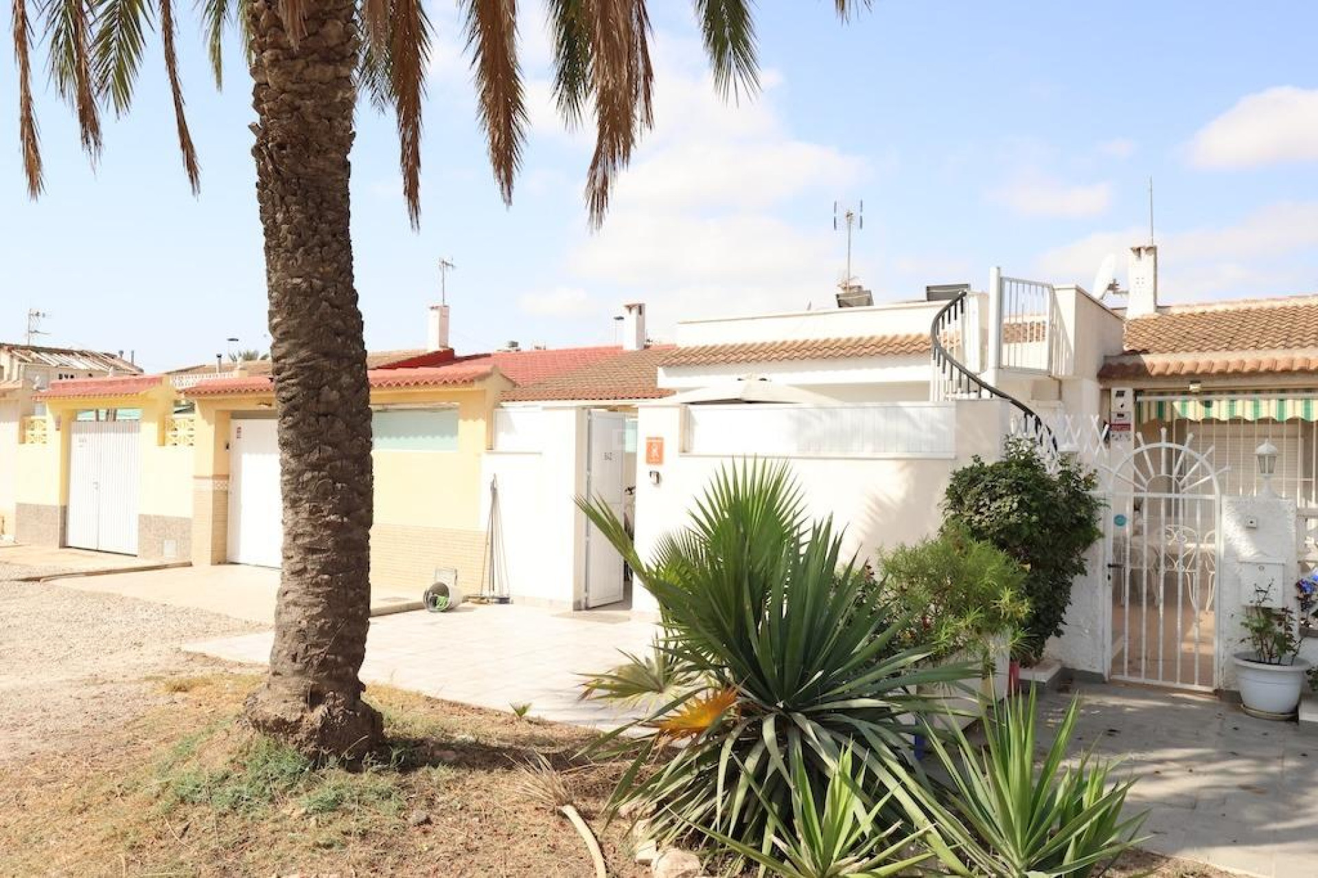 Wiederverkauf - Bungalow - Torrevieja - Costa Blanca
