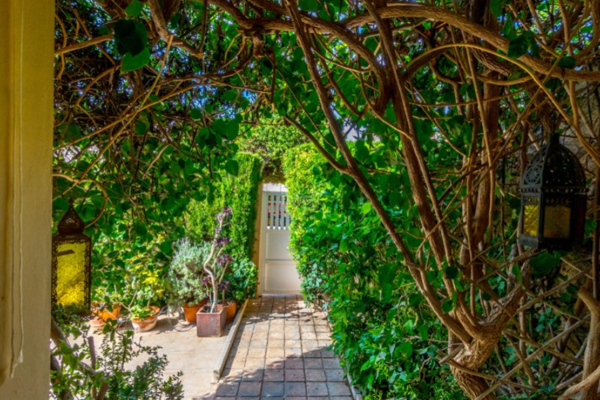 Wiederverkauf - Bungalow - Torrevieja - Costa Blanca