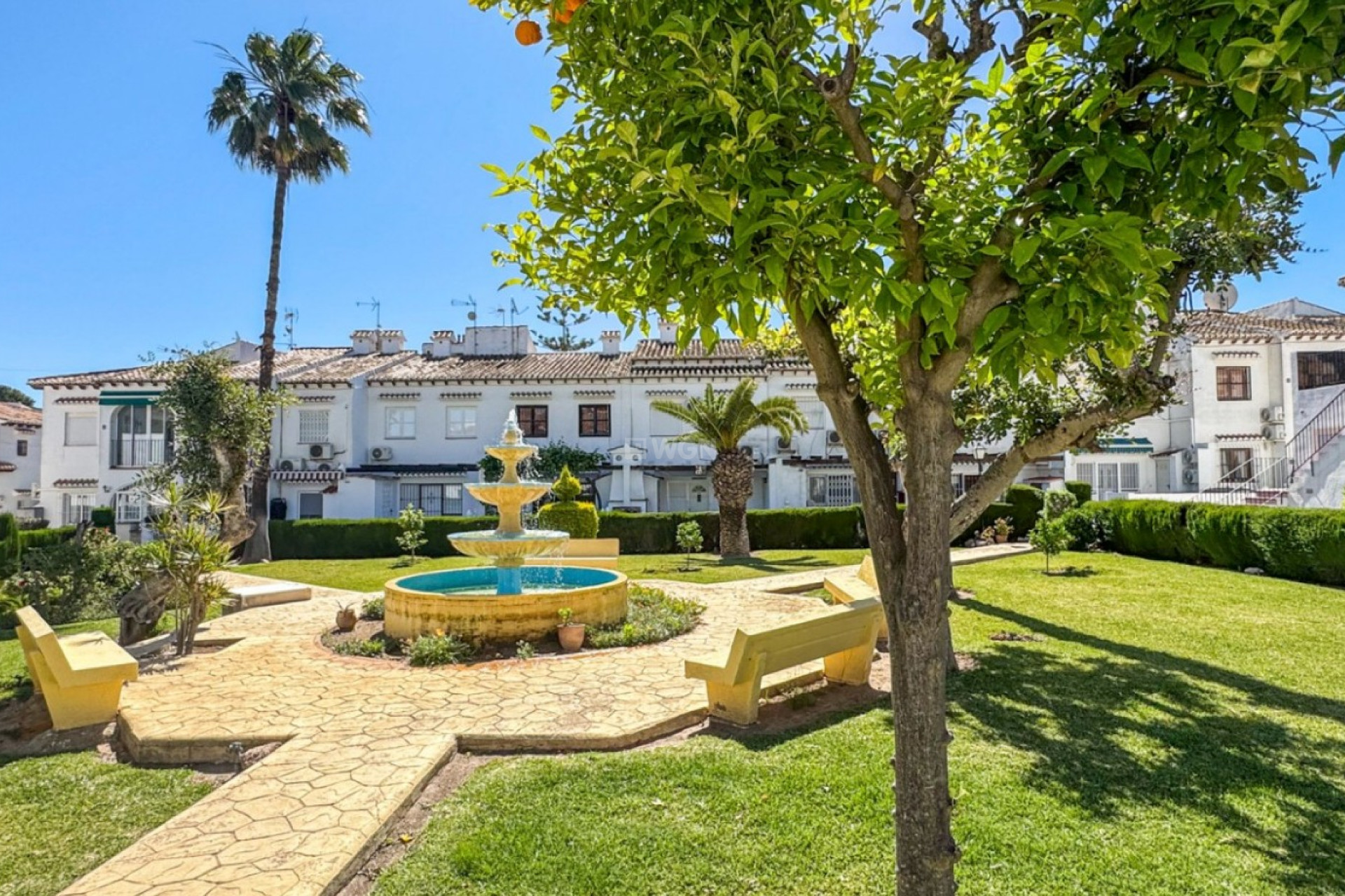 Wiederverkauf - Bungalow - Torrevieja - Costa Blanca