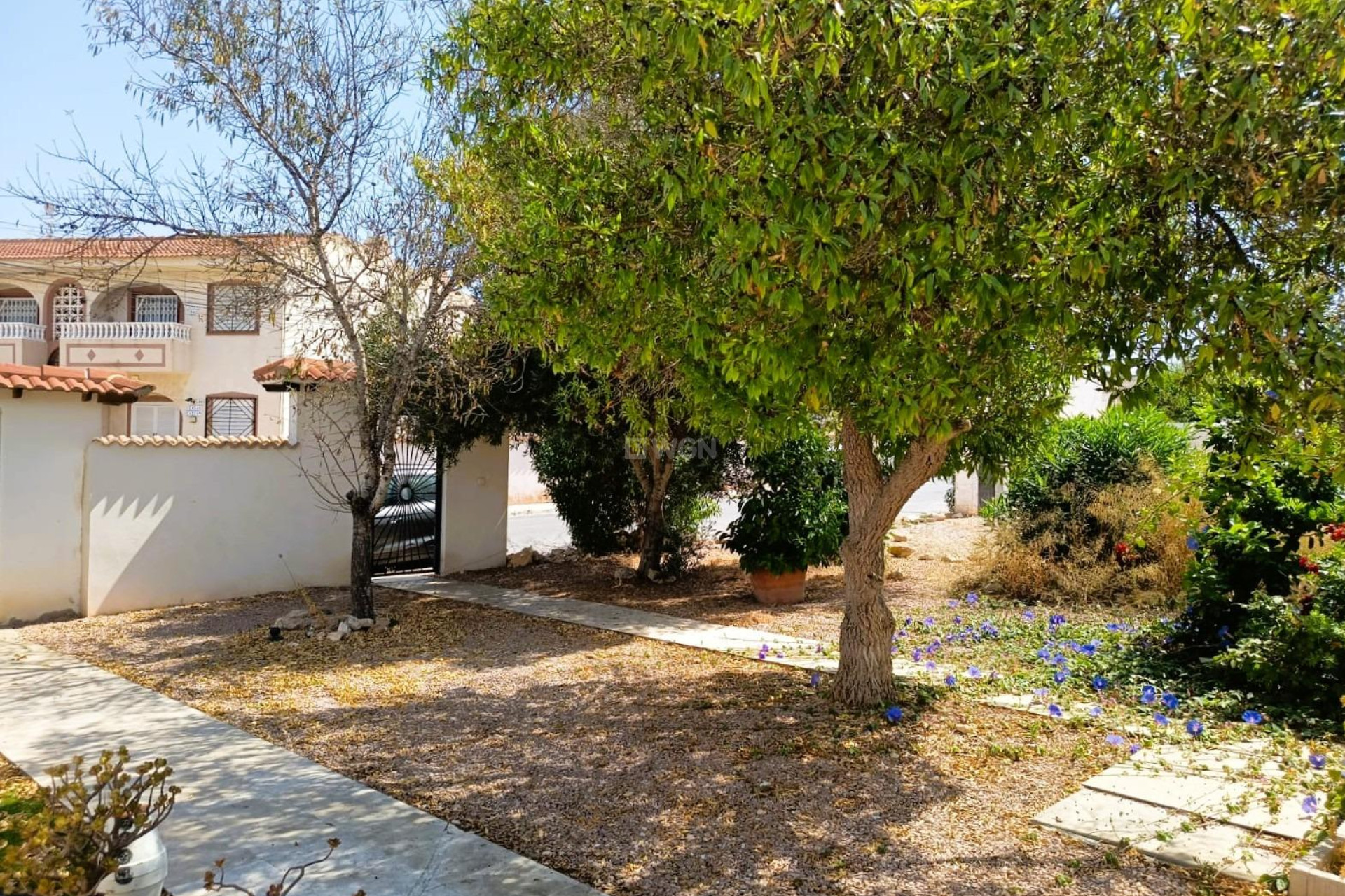 Wiederverkauf - Bungalow - Torrevieja - Costa Blanca