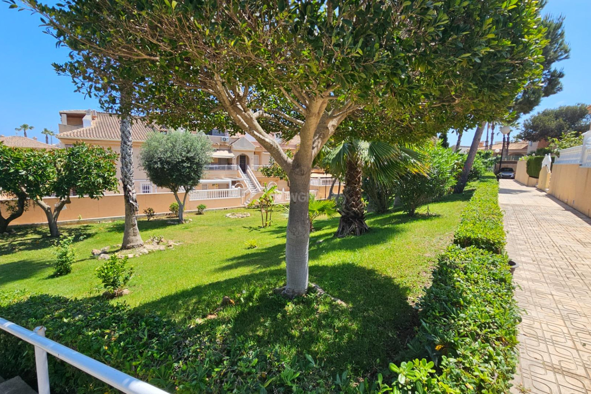 Wiederverkauf - Bungalow - Torrevieja - Torreblanca