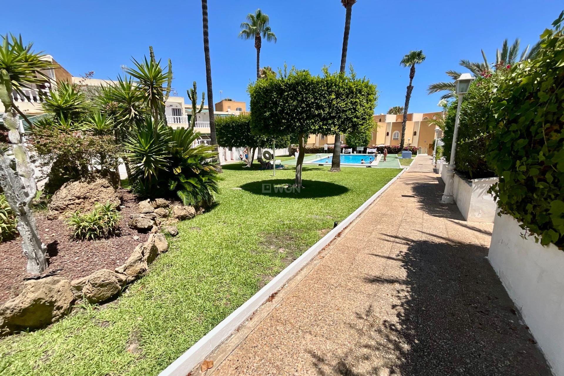 Wiederverkauf - Bungalow - Torrevieja - Torreblanca