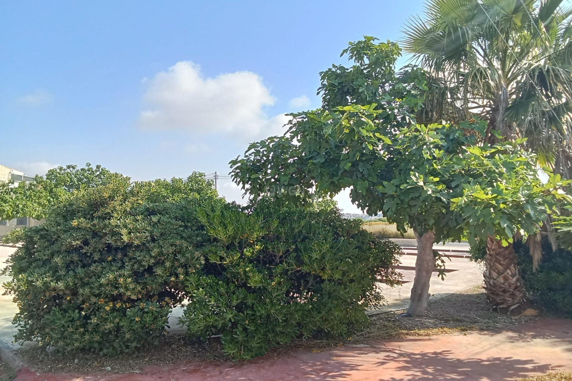 Wiederverkauf - Bungalow - Torrevieja - Torretas