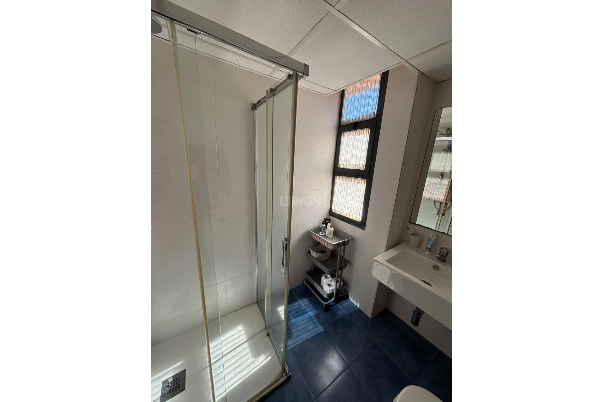 Wiederverkauf - Duplex - CHURRA - Churra