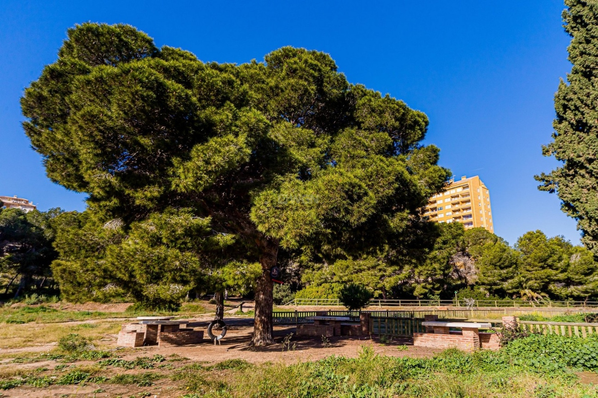 Wiederverkauf - Duplex - Dehesa de Campoamor - Costa Blanca