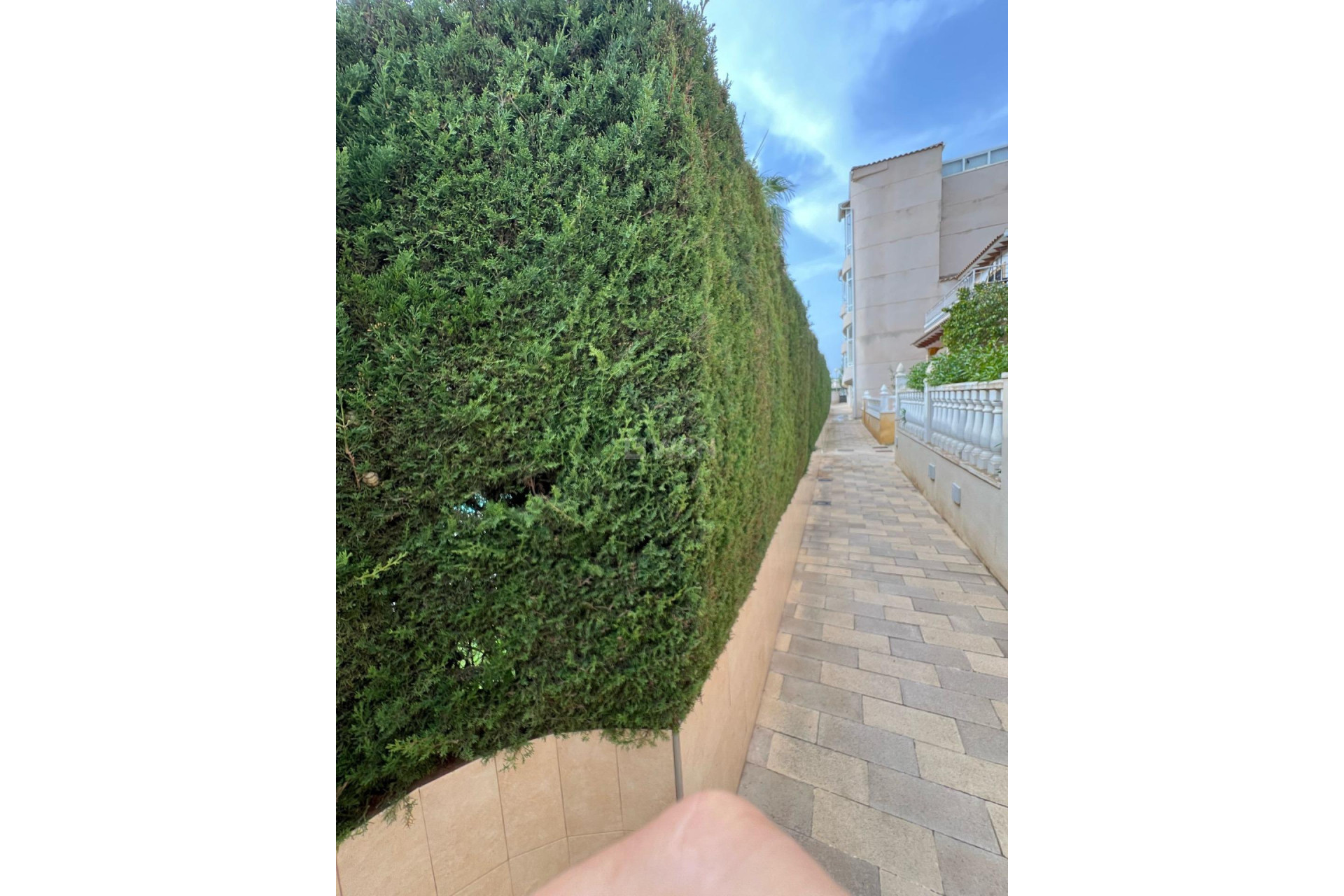 Wiederverkauf - Duplex - Orihuela Costa - Punta Prima