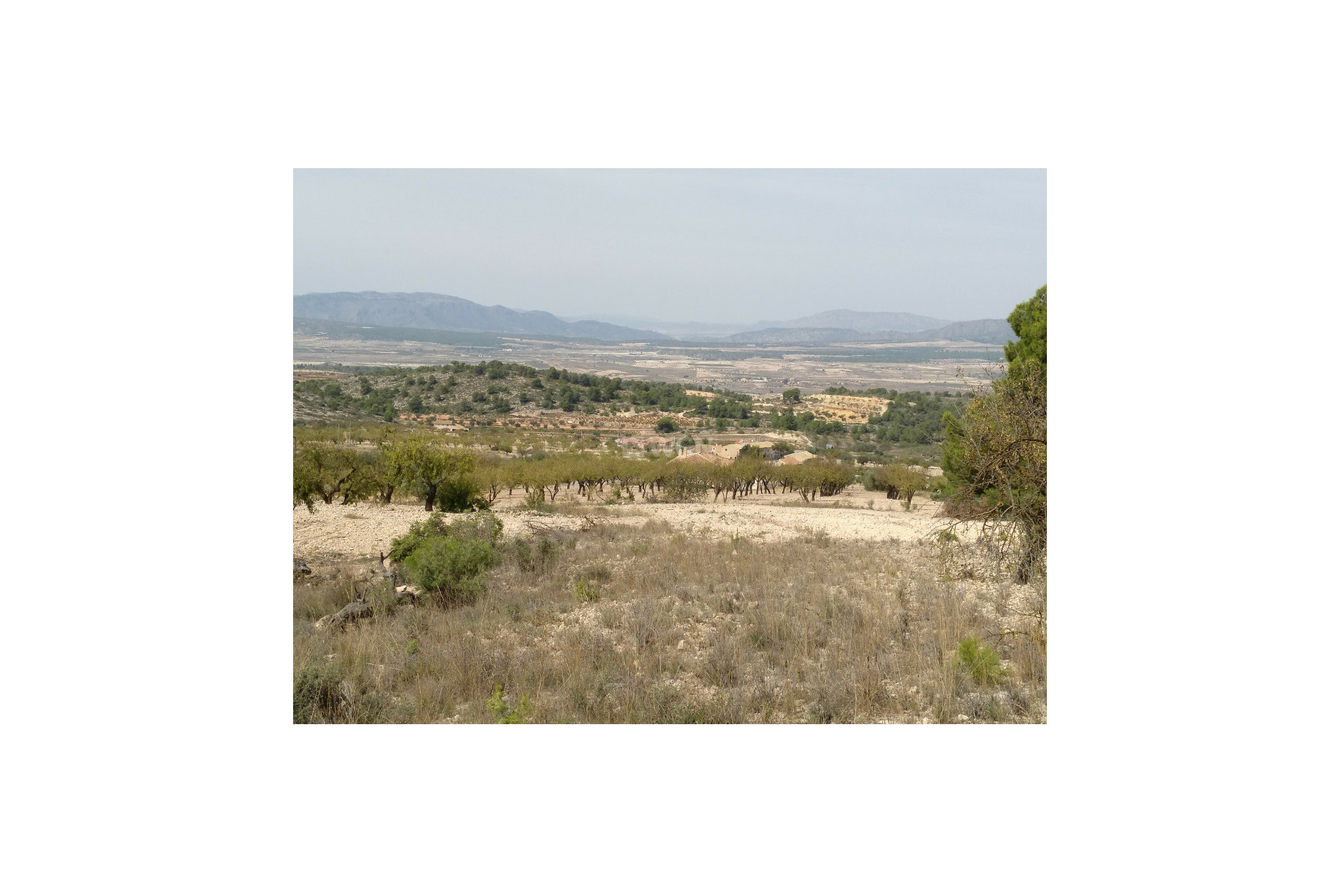 Wiederverkauf - Grundstück / Grundstück - Abanilla - Inland