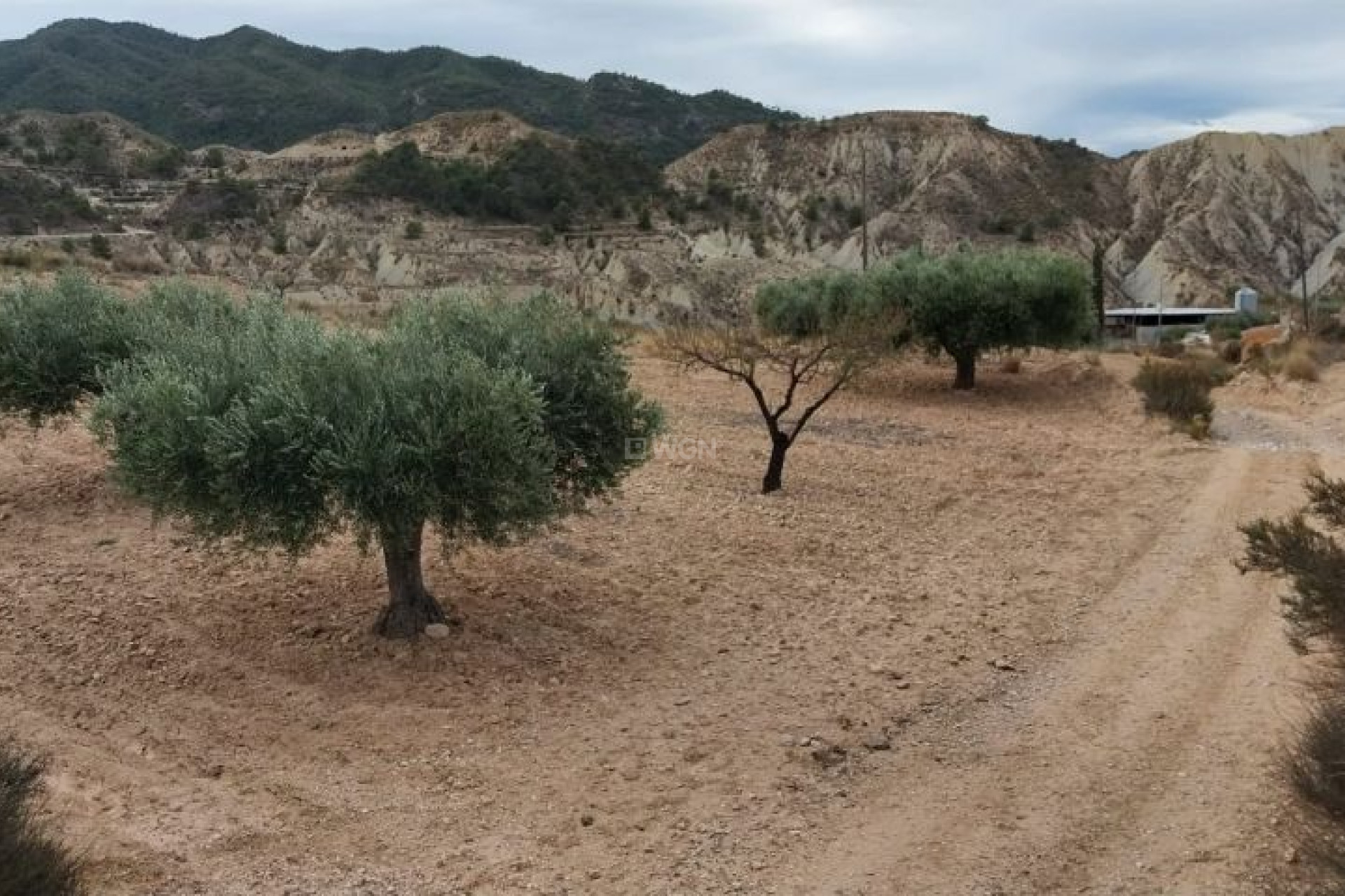 Wiederverkauf - Grundstück / Grundstück - Abanilla - Inland